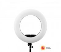 رینگ لایت عکاسی Ring light FD 480II با صفحه نمایش