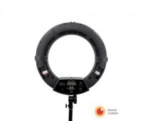 رینگ لایت عکاسی Ring light FD 480II با صفحه نمایش