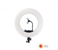 رینگ لایت عکاسی ریموت دار Ring Light Westcott FE-480 II با صفحه نمایش