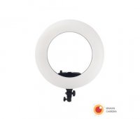 رینگ لایت عکاسی ریموت دار Ring Light Westcott FE-480 II با صفحه نمایش