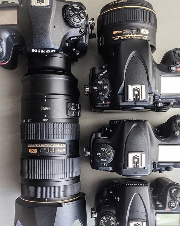 دسته نیکون dslr