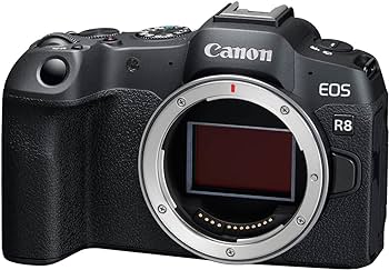 دوربین بدون آینه کانن Canon EOS R8 Mirrorless Body